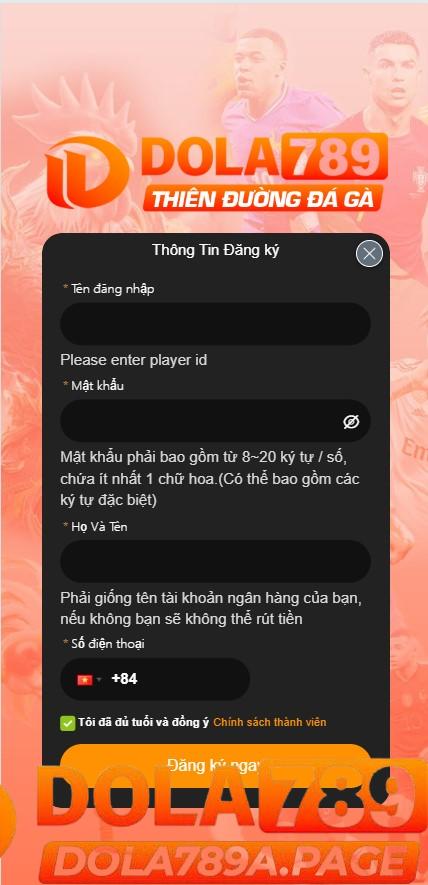 Hướng dẫn Đăng ký Dola789 – Hành Trang Cho Người Mới Bắt Đầu 3 Lưu Ý Quan Trọng Khi Đăng Ký Dola789